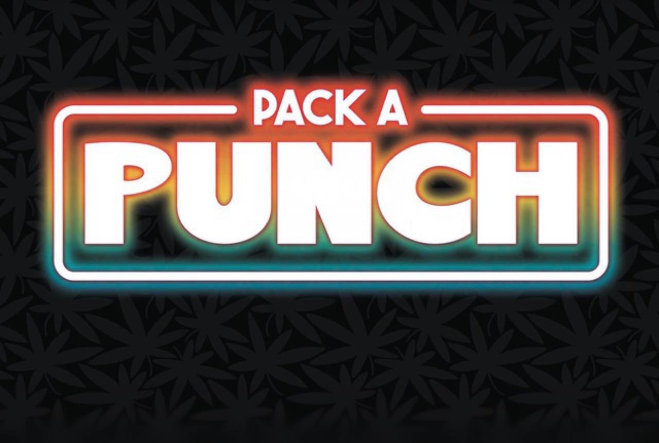packapunchdisposable.com