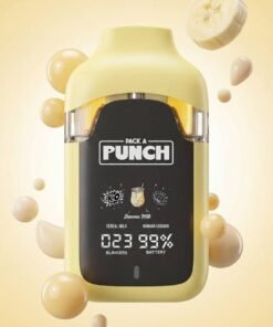 packa punch disposable